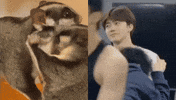 Nct Dream Chest GIF