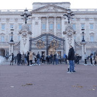 London Running GIF by Budgy Smuggler