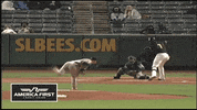 Jo Adell Baseball GIF by Salt Lake Bees