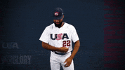Pro GIF by USA Baseball