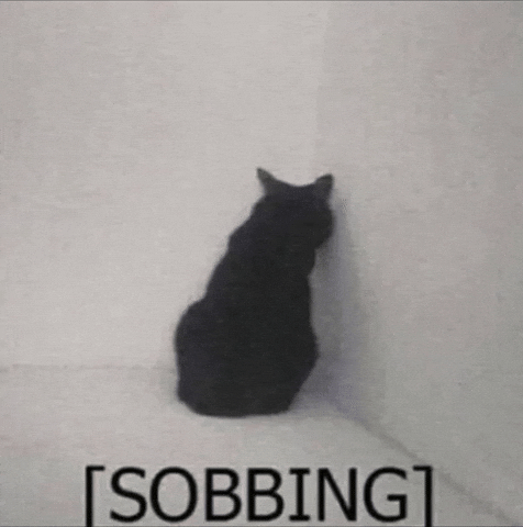 Sad Cat GIF