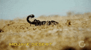 carboom episode 2 GIF by Autoblog