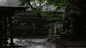 Rain Landscape GIF
