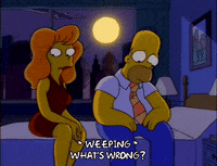 homer simpson episode 3 GIF