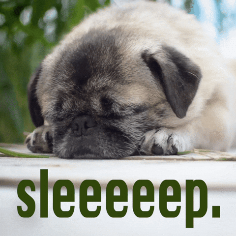 Tired Rise And Shine GIF by Sealed With A GIF