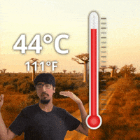 111 Degrees Fahrenheit GIF