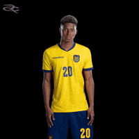 Fifa World Cup Ecuador GIF by Respective