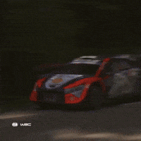 Fast Car Speed GIF by FIA World Rally Championship