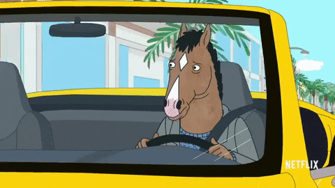 driving bojack horseman GIF