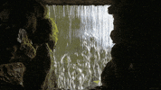 water perfect loop GIF by Living Stills