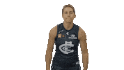 Carlton Fc Money Sticker by Carlton Football Club