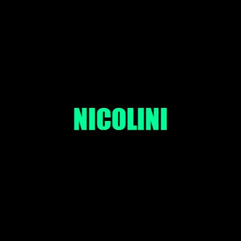 nicoliniacessorios caminhao autopecas nicolini nicoliniacessorios GIF