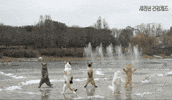 틴더스 GIF