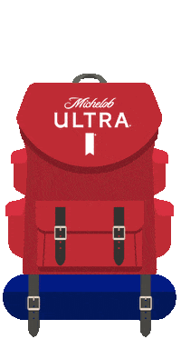 Beer Cheers Sticker by MichelobULTRA