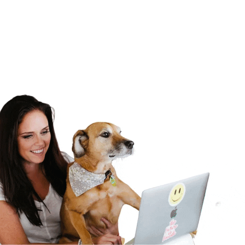 TheFitzSolution dog smile trixie fitz solution GIF