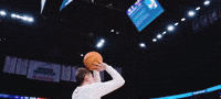Panthers GIF by UNI Athletics