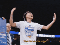 Panthers GIF by UNI Athletics
