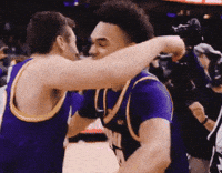 Panthers GIF by UNI Athletics