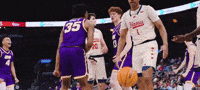 Panthers GIF by UNI Athletics