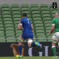 France Rugby GIF by Guinness Six Nations