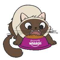 Cat Racao Sticker by Whiskas Brasil
