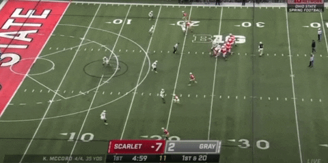 chrisrennecfb giphyupload GIF