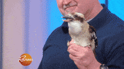 rachaelrayshow funny cute gif baby GIF