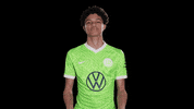 New One Reaction GIF by VfL Wolfsburg