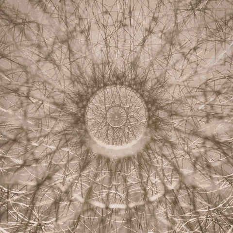 Art Satisfying GIF by Woodblock