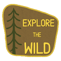 ChasingAMoment travel nature wild camping Sticker