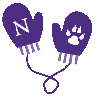 Northwestern Wildcats Winter Sticker by Northwestern University