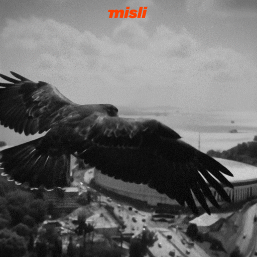 Sponsor Tammy GIF by Misli