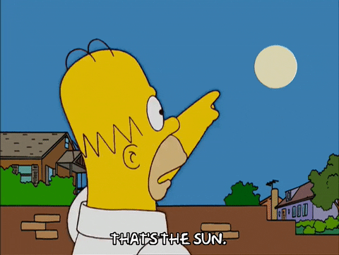 Season 17 Sun GIF by The Simpsons