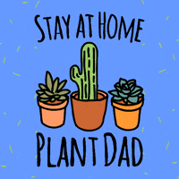 plants plant dad GIF by Look Human
