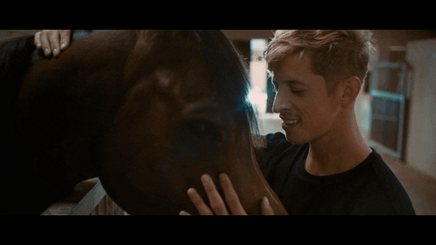 horse afrikaans GIF by Universal Music Africa