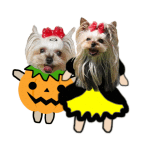 はろおふかいすたんぷ Sticker