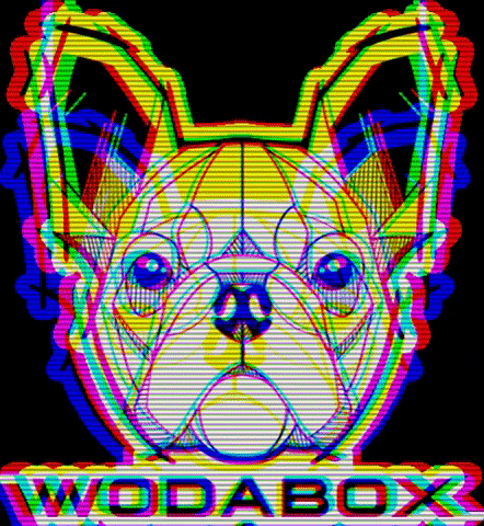 Wodabox-FR giphygifmaker french bulldog wodabox GIF