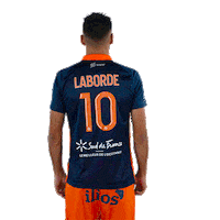 Laborde Sticker by MHSC