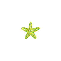 beach starfish Sticker