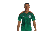 World Cup Mexico Sticker by MiSelecciónMX