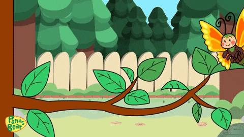 Lay Eggs GIF