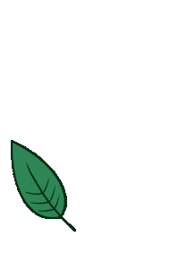 Leaf Vkvk Sticker