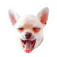 Dog Tongue Sticker
