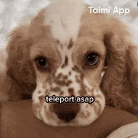 Miss You GIF by Taimi