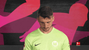 Vfl Wolfsburg Football GIF by Bundesliga