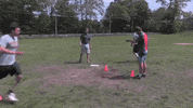 big cat kfc GIF by Barstool Sports