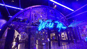 AREA15 area15 wild muse GIF
