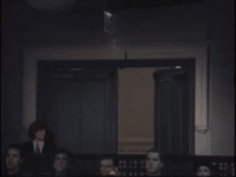 darkangel927 giphygifmaker snl saturday night live david GIF