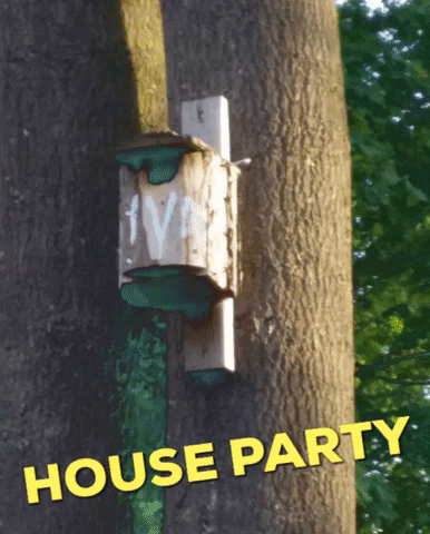 Celebrate House Party GIF by Caroline - The Happy Sensitive