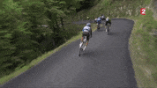 tour de france crash GIF by franceinfo